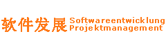 Softwareentwicklung - Projektmanagement